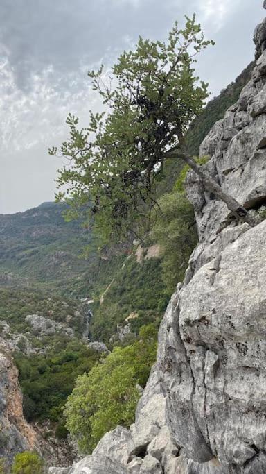 Casa Buitreras Daire El Colmenar Dış mekan fotoğraf