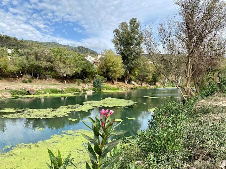 Casa Buitreras Daire El Colmenar Dış mekan fotoğraf